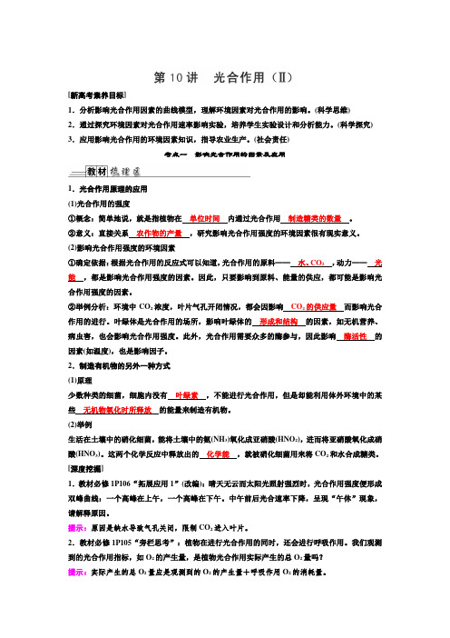 新高考 一轮复习 人教版 光合作用(II) 教案