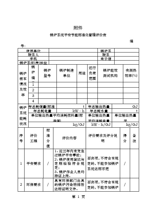 锅炉安全节能评价表