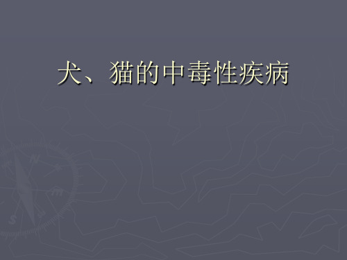 犬、猫的中毒性疾病