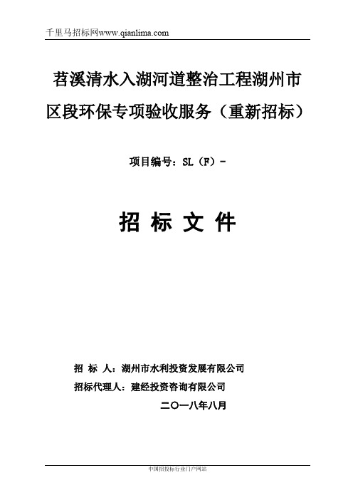 清水入湖河道整治工程市区段环保专项验收服务重新招投标书范本