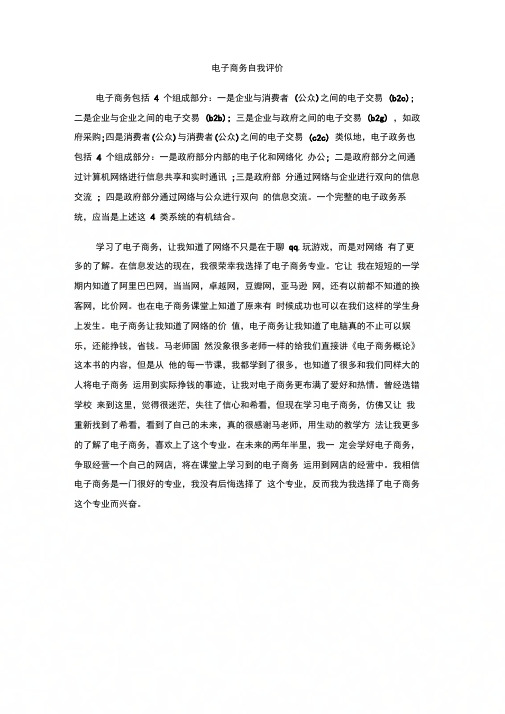 电子商务自我评价
