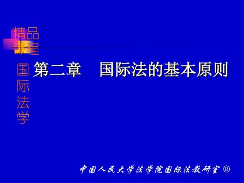 第二章节国际法基本原则