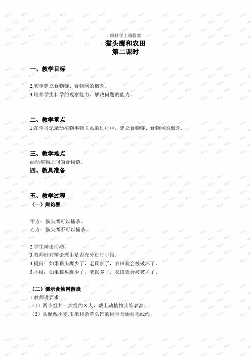 首师大小学科学六上《6猫头鹰与农田》word教案(2)