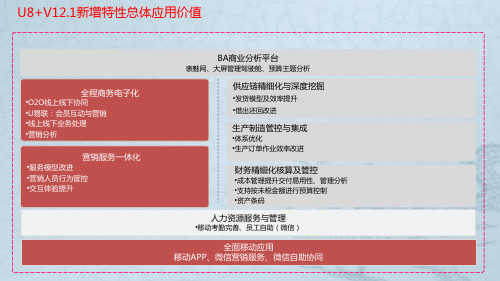 U8V121新增产品功能介绍