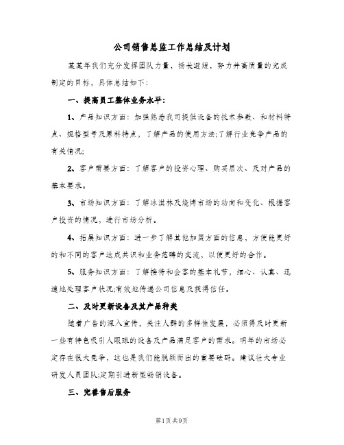 公司销售总监工作总结及计划（3篇）