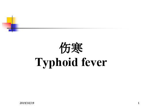 伤寒Typhoid-fever培训演示课件.ppt