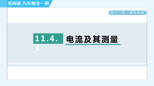 北师大版九年级全一册物理同步培优第十一章认识电路  电流及其测量