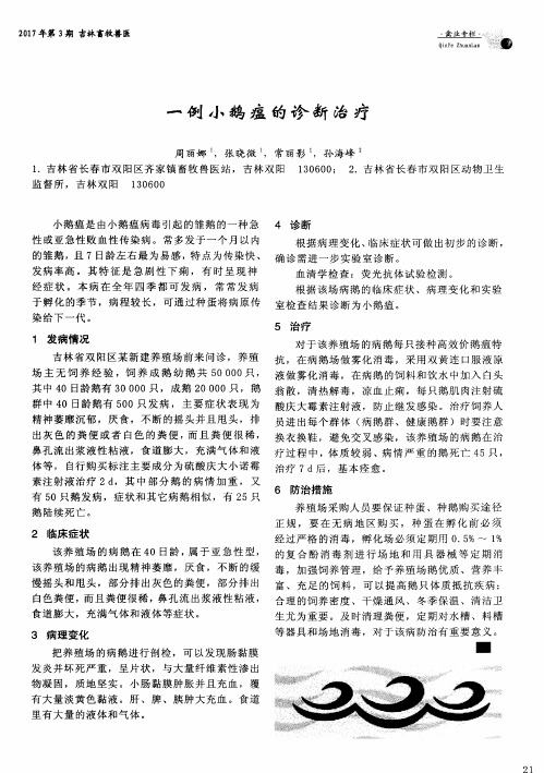 一例小鹅瘟的诊断治疗