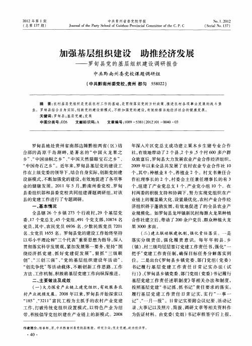 加强基层组织建设 助推经济发展——罗旬县党的基层组织建设调研报告