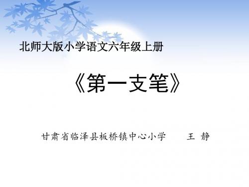 《第一支笔》(省一等奖)