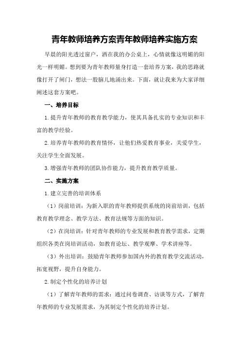 青年教师培养方案青年教师培养实施方案