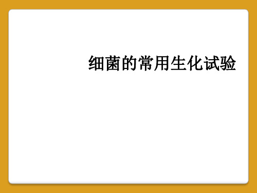 细菌的常用生化试验