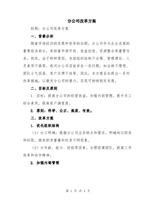 分公司改革方案