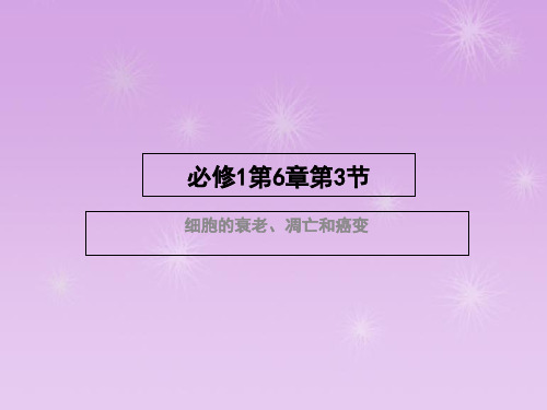 高一生物必修1课件专题6.3 细胞的衰老、凋亡和癌变