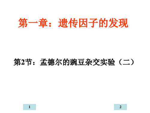 生物人教版必修二 1.2《孟德尔的豌豆杂交实验》课件2