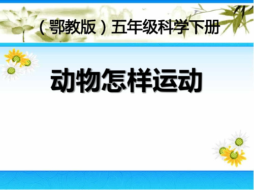 《动物怎样运动》PPT课件