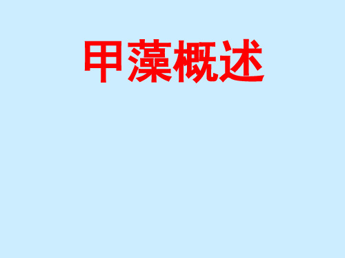 甲藻概述