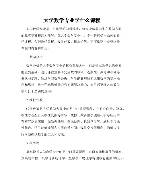 大学数学专业学什么课程