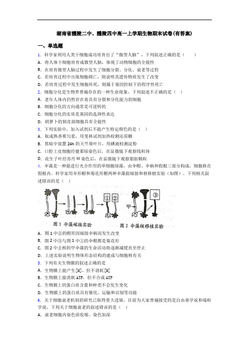 湖南省醴陵二中、醴陵四中高一上学期生物期末试卷(有答案)