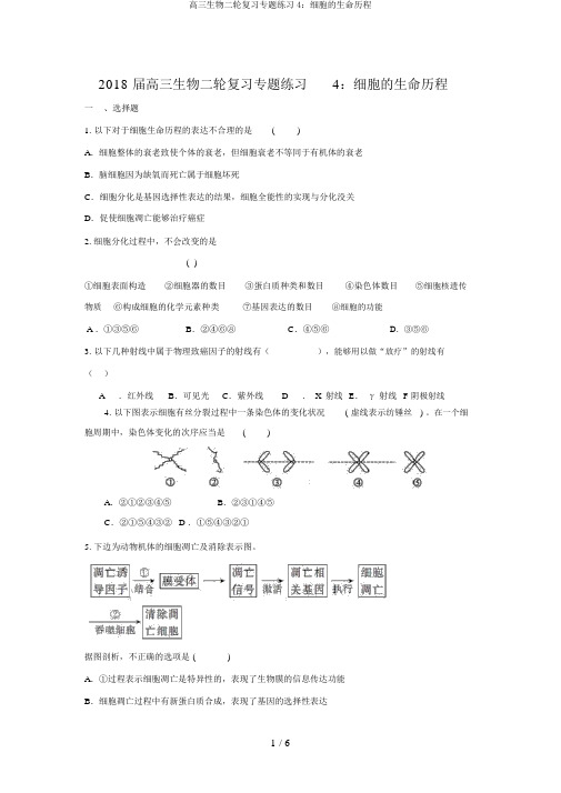 高三生物二轮复习专题练习4：细胞的生命历程