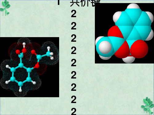 共价键2(课件PPT)