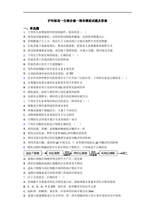 沪科版高一生物必修一期末模拟试题及答案