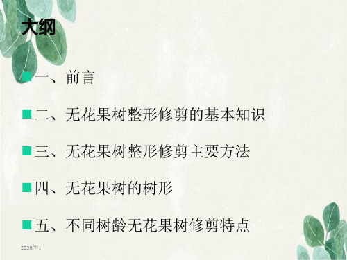 无花果整枝修剪技术.ppt
