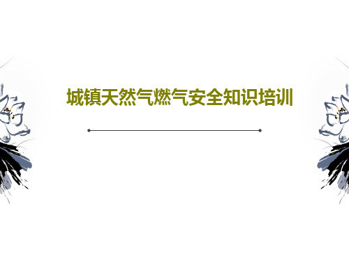 城镇天然气燃气安全知识培训39页PPT