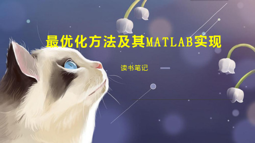 最优化方法及其MATLAB实现