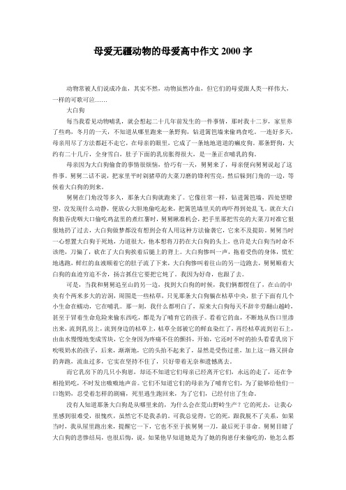 母爱无疆动物的母爱高中作文2000字