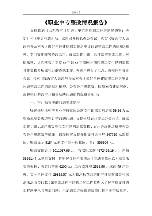 《职业中专整改情况报告》