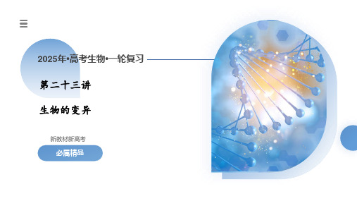 第23讲生物的变异(课件)-2025年高考生物一轮复习