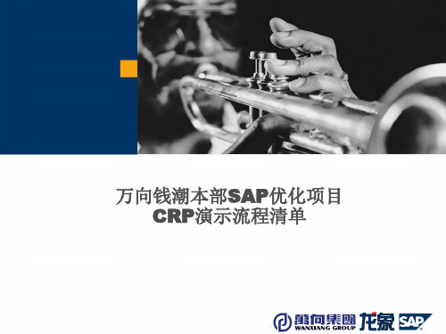 219万向钱潮SAP-ERP实施全套项目资料-培训资料-关键业务流程演示-CRP流程清单v5.2