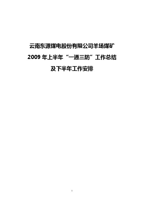 2009年上半年“一通三防”工作总结及下半年工作打算