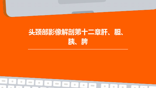 头颈部影像解剖第十二章肝、胆、胰、脾