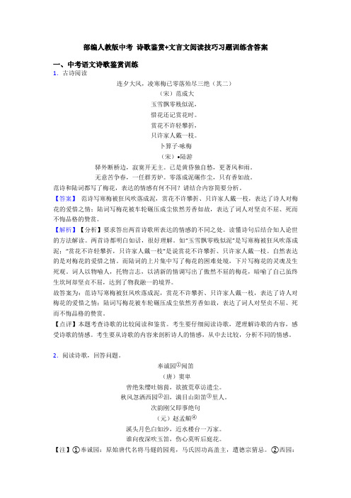 部编人教版中考 诗歌鉴赏+文言文阅读技巧习题训练含答案