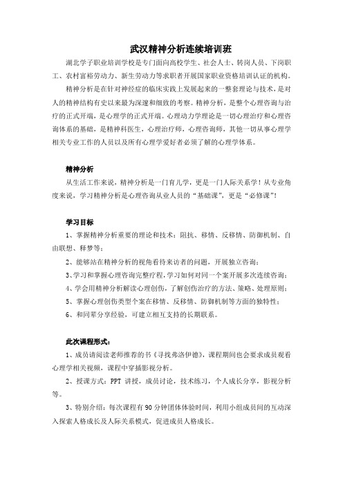 武汉精神分析连续培训班