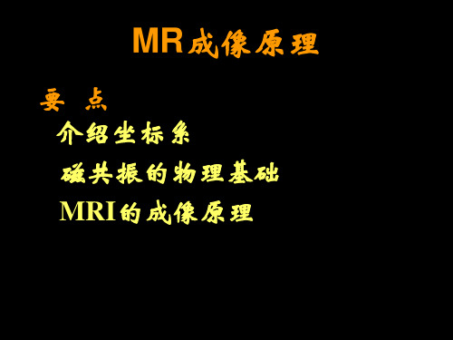 MR成像原理 ppt课件