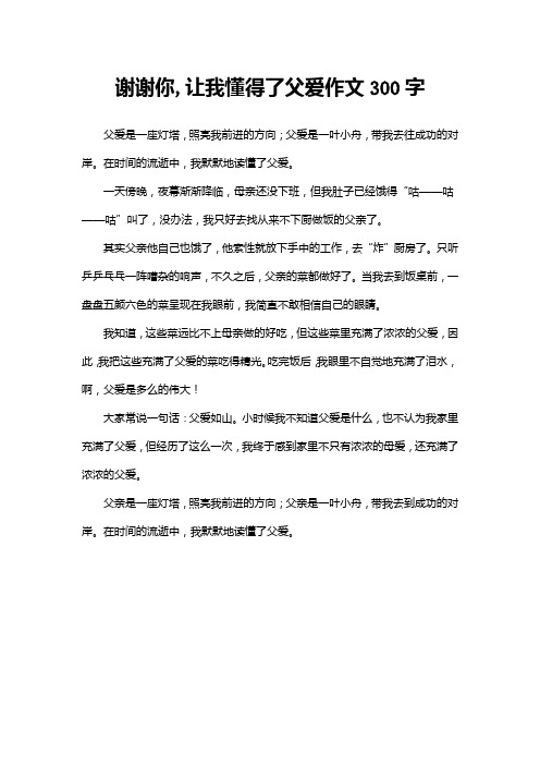 谢谢你,让我懂得了父爱作文300字