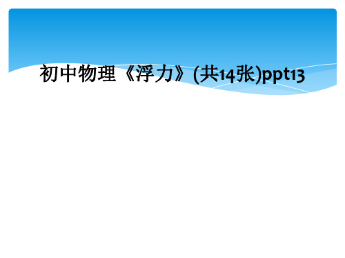 初中物理《浮力》(共14张)ppt13