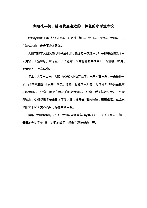 太阳花—关于描写我最喜欢的一种花的小学生作文_二年级状物作文