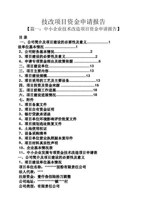 工作报告之技改项目资金申请报告