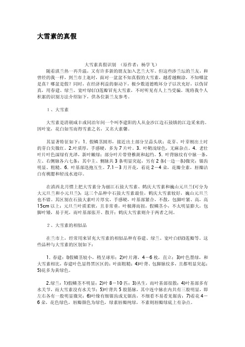 大雪素的真假