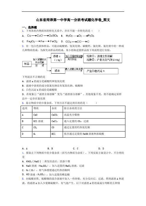 山东省菏泽第一中学高一分班考试题化学卷_图文