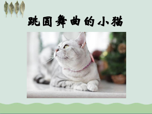 《跳圆舞曲的小猫》PPT课件