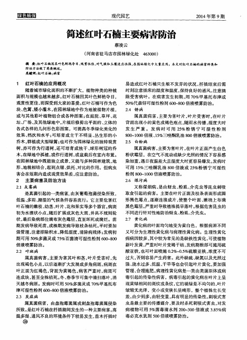 简述红叶石楠主要病害防治