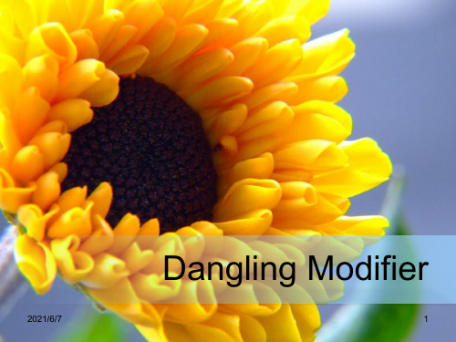 dangling-modifier