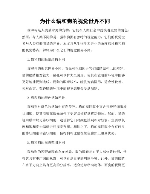 为什么猫和狗的视觉世界不同