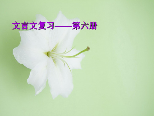 北师大版文言文复习PPT教学课件