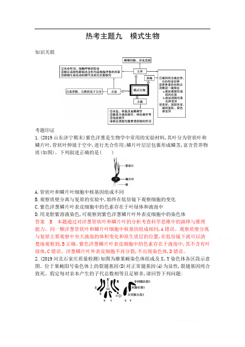 2020届高考生物山东版二轮复习训练题：第二篇 热考主题夺分必破 热考主题九 模式生物 